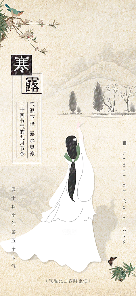 寒露节气简约大气海报