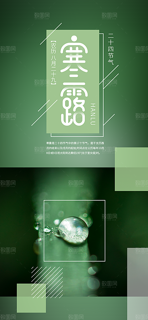 寒露节气简约大气海报