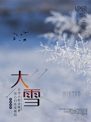 大雪节气简约大气海报
