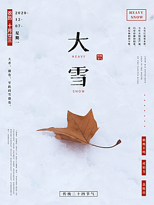 大雪节气简约大气海报