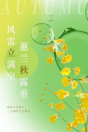立秋节气简约大气海报