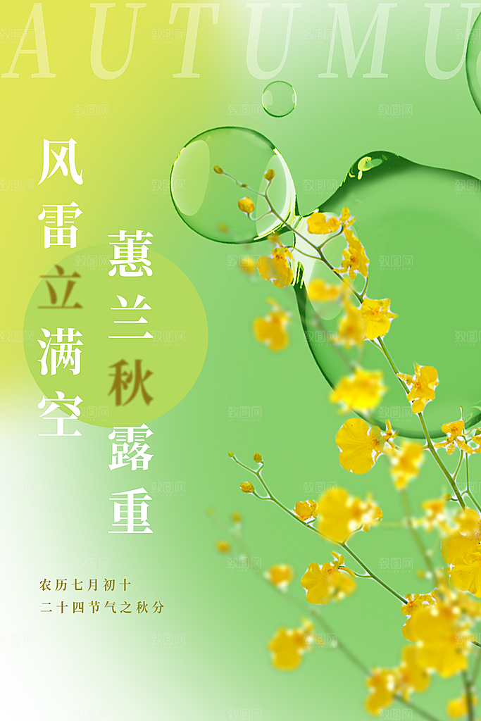 立秋节气简约大气海报