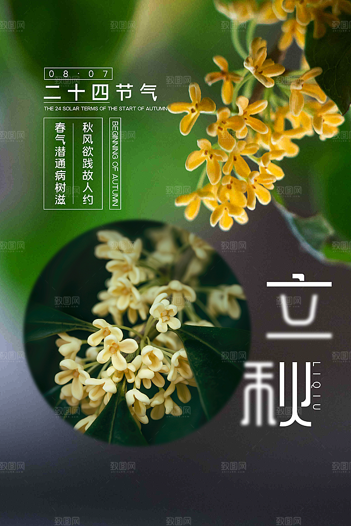传统节气立秋海报模板
