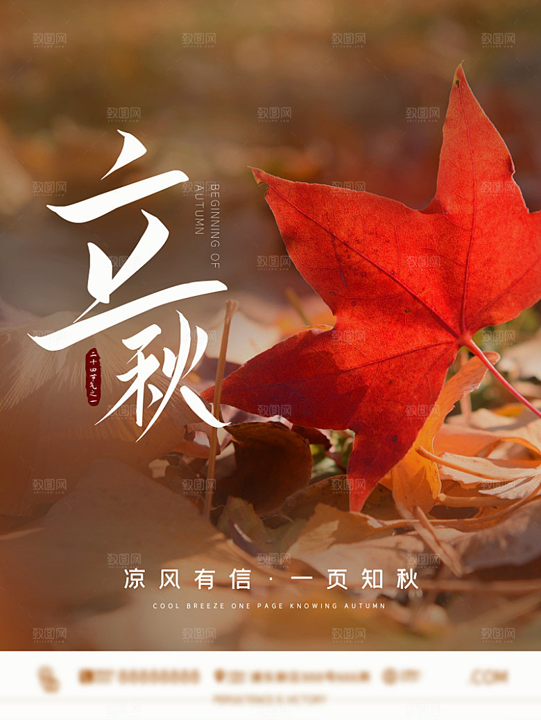 传统节气立秋海报模板