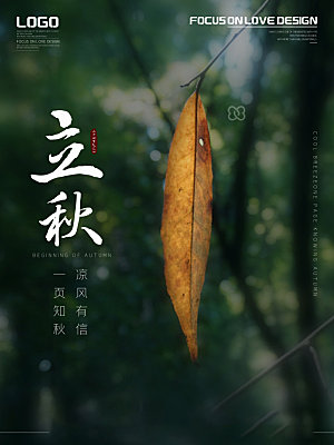 立秋节气简约大气海报