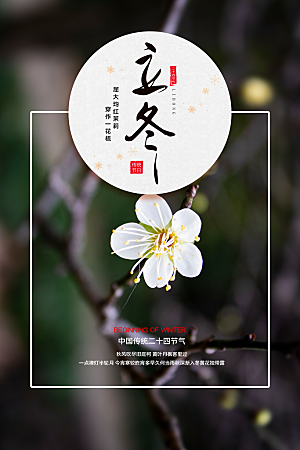 传统节气立冬海报模板