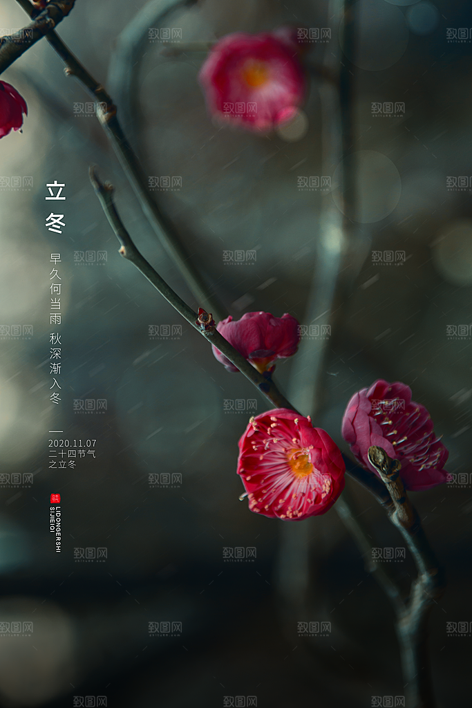 传统节气立冬海报模板