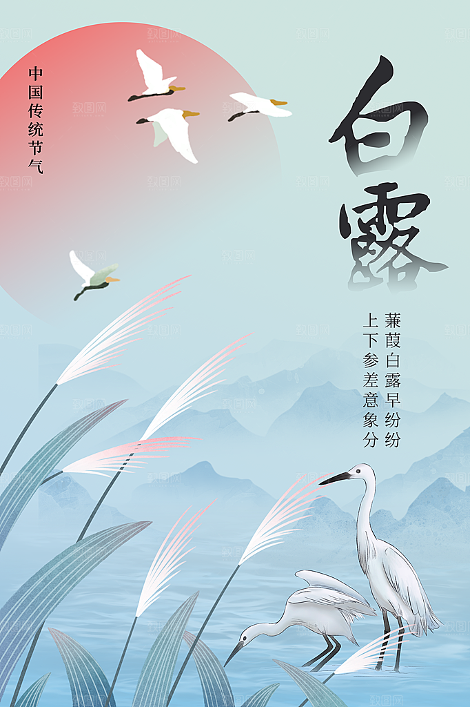 白露节气传统海报