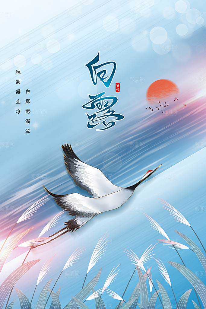 白露节气传统海报