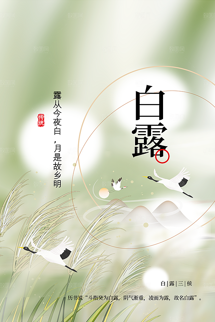 白露节气传统活动海报