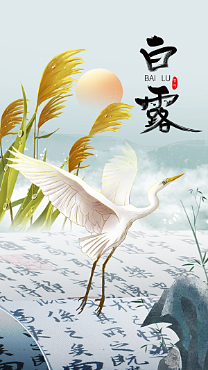 白露节气传统活动海报