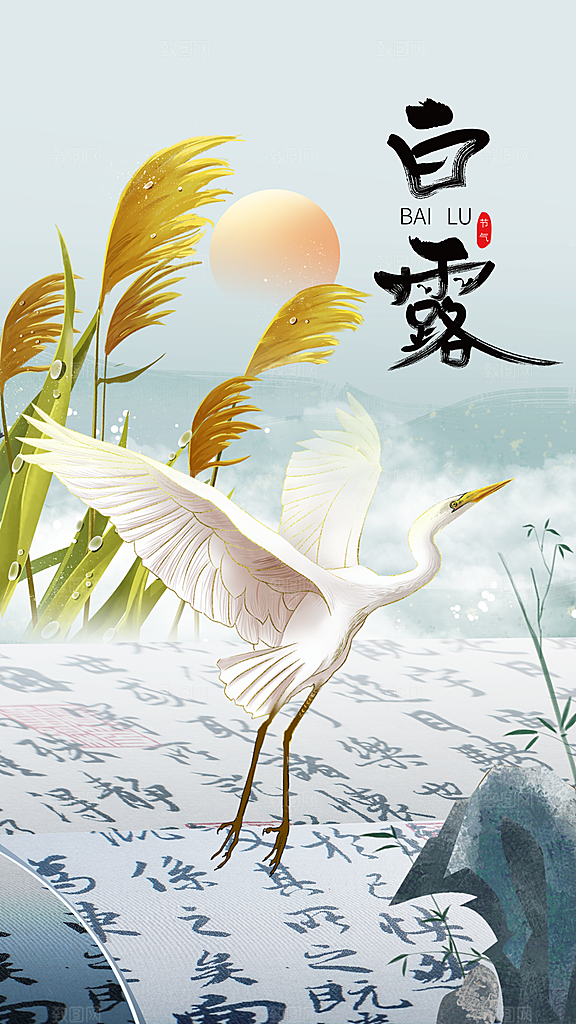 白露节气传统活动海报