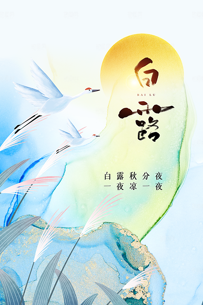 白露节气传统活动海报