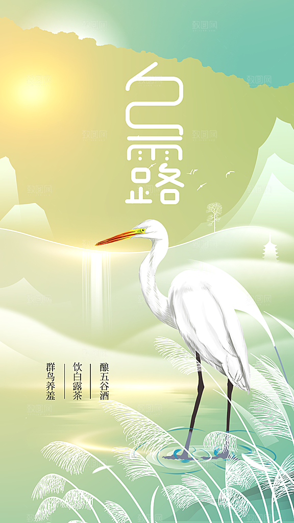 白露节气传统活动海报