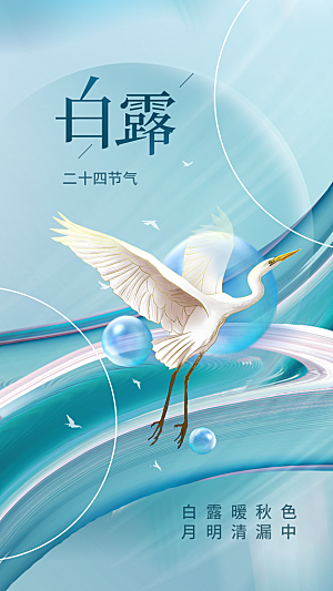 白露节气传统活动海报