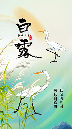 白露节气传统活动海报