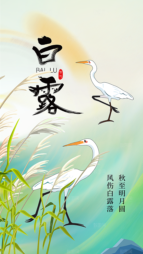 白露节气传统活动海报
