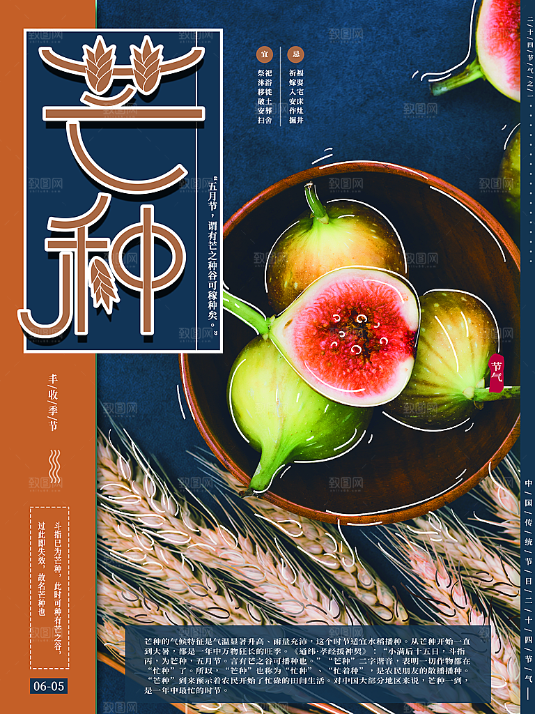 传统二十四节气芒种