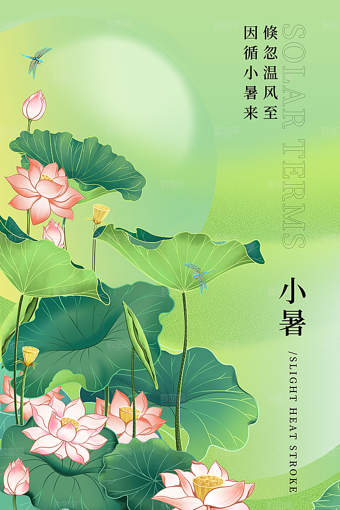 小暑节气简约大气海报