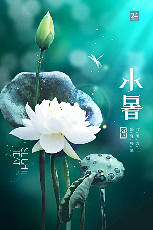 小暑节气简约大气海报