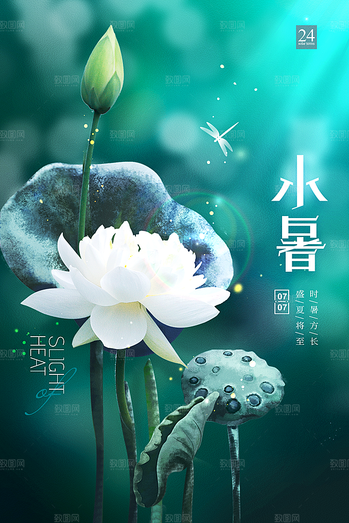小暑节气简约大气海报