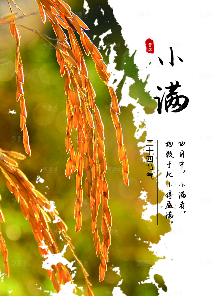 传统二十四节气小满