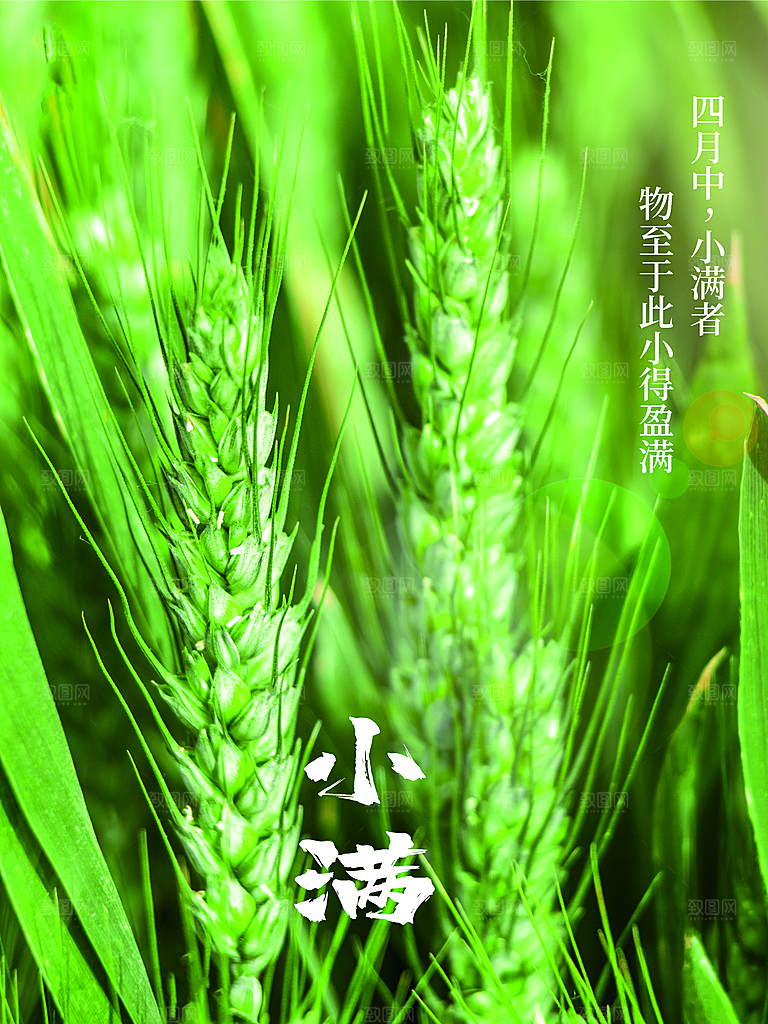 传统二十四节气小满