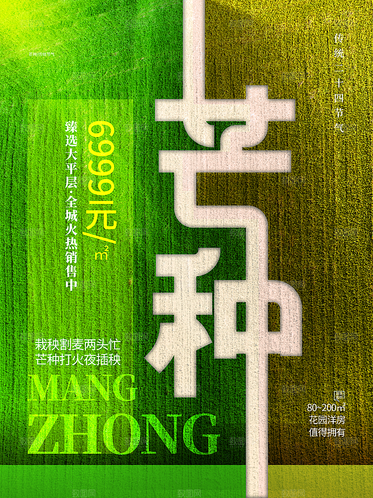 传统二十四节气芒种