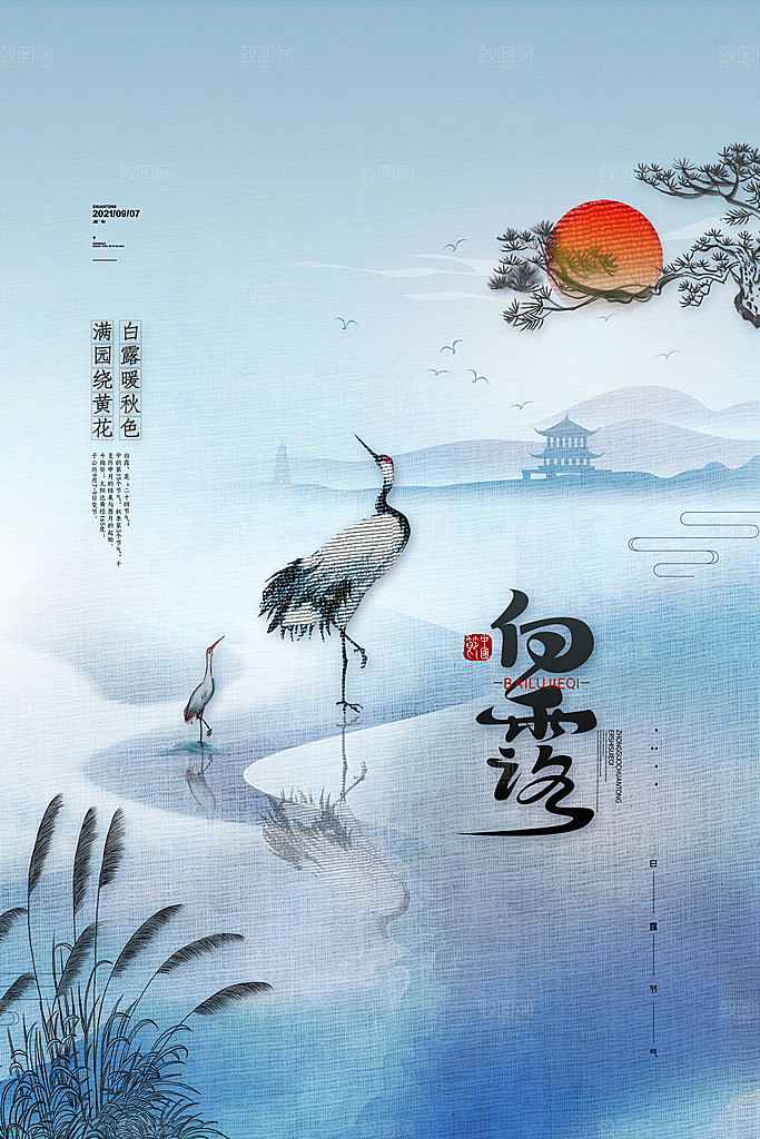 传统节气白露海报模版