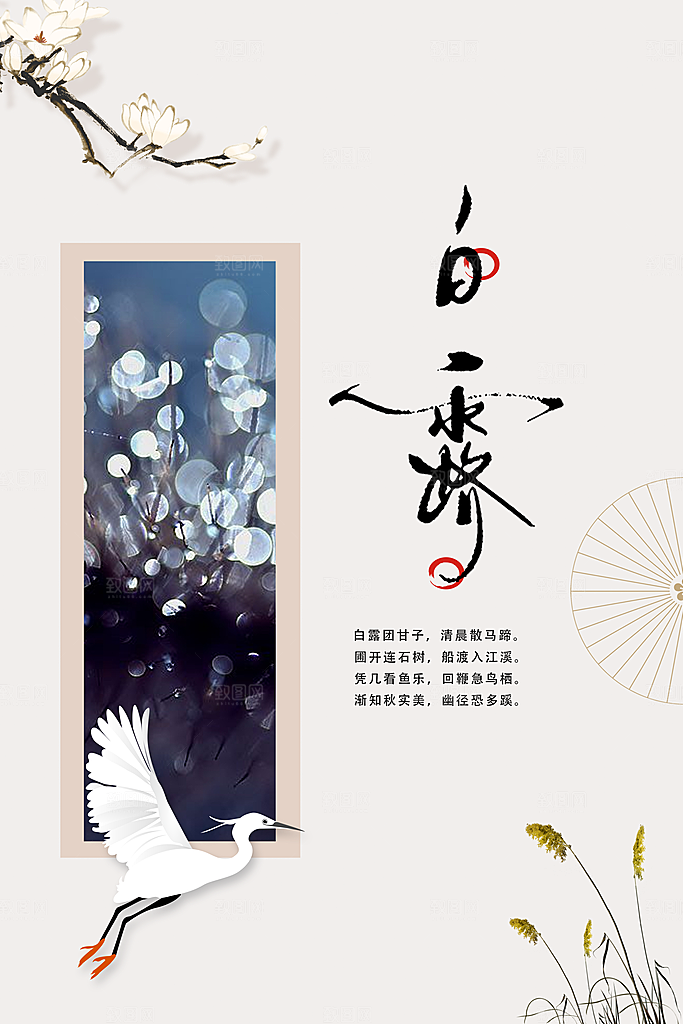 白露节气传统活动海报