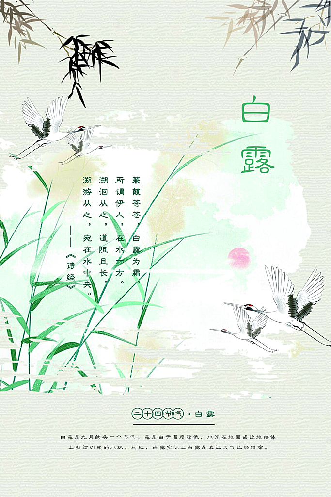 白露节气传统活动海报