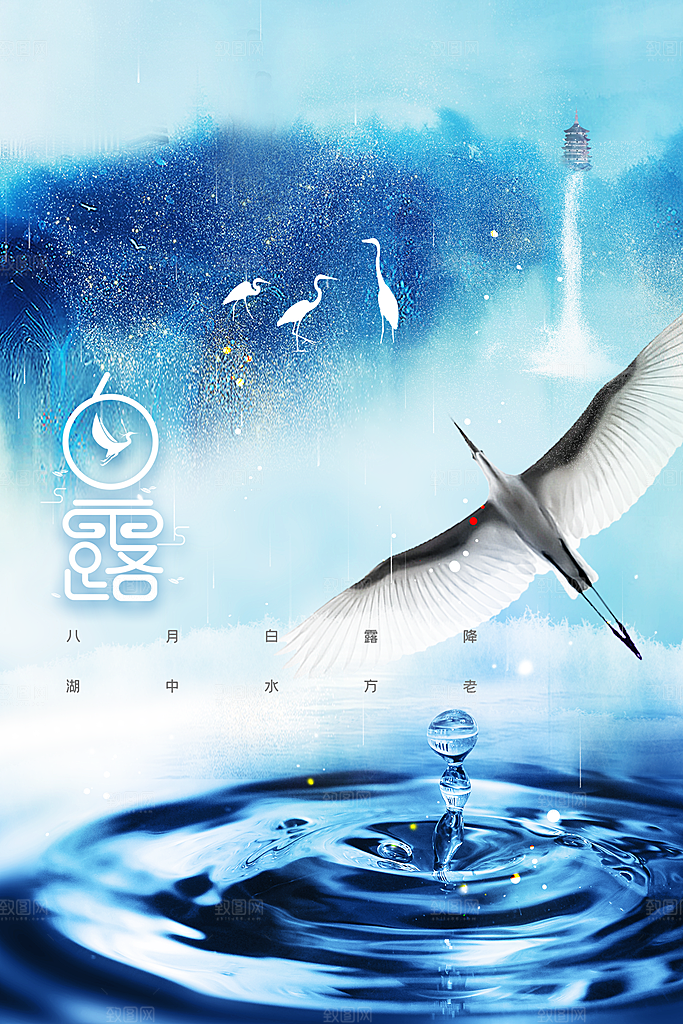 白露节气传统活动海报