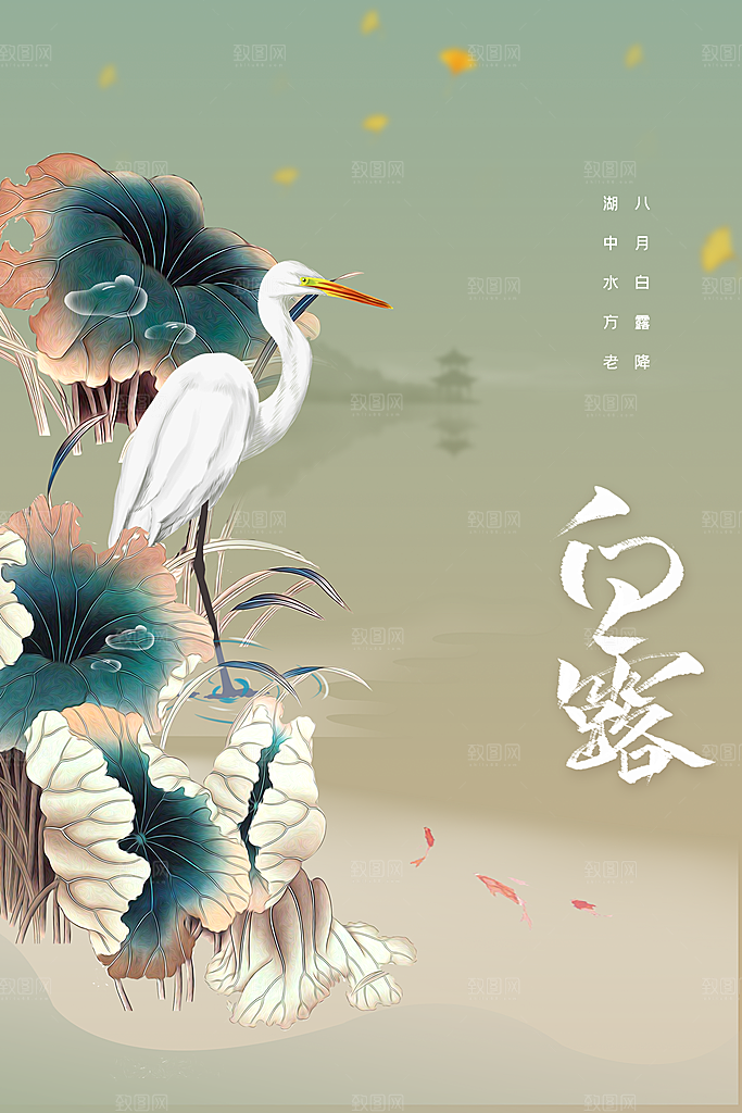 白露节气传统活动海报
