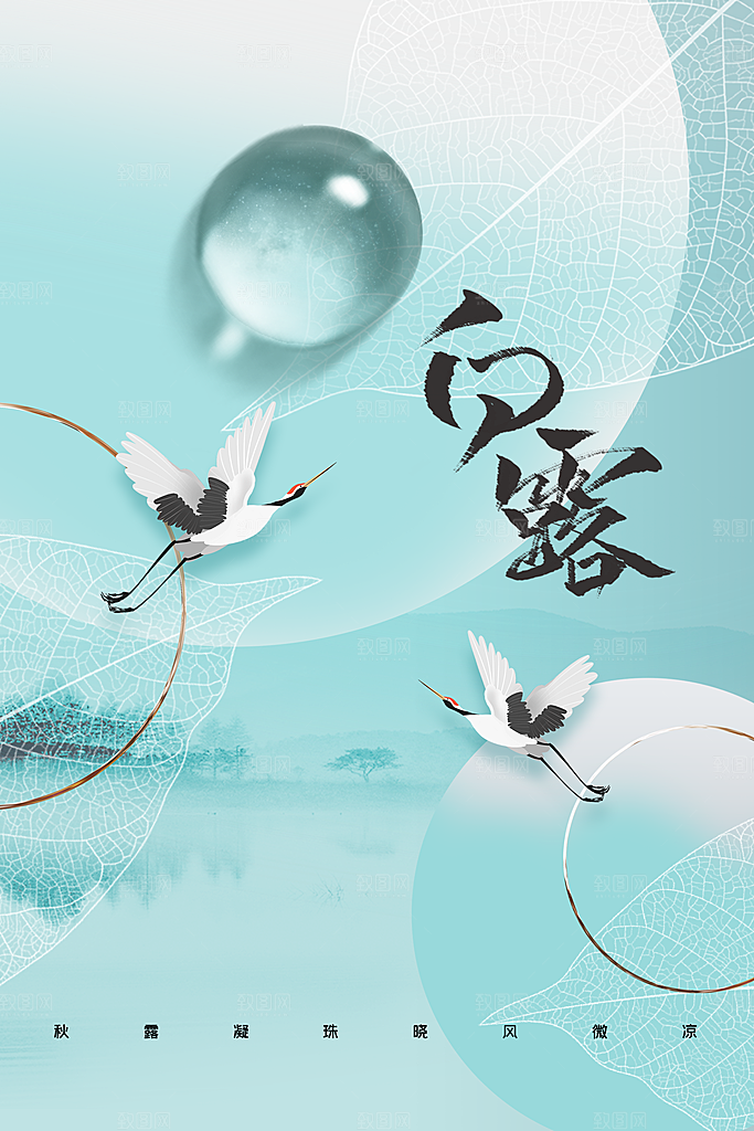白露节气传统活动海报