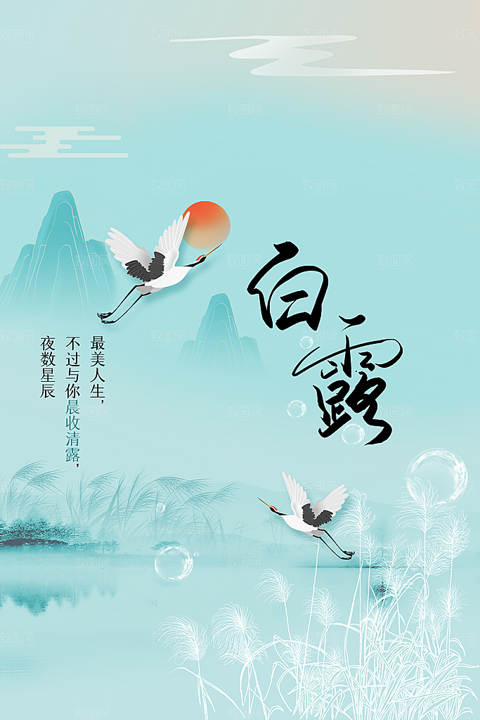 白露节气传统活动海报