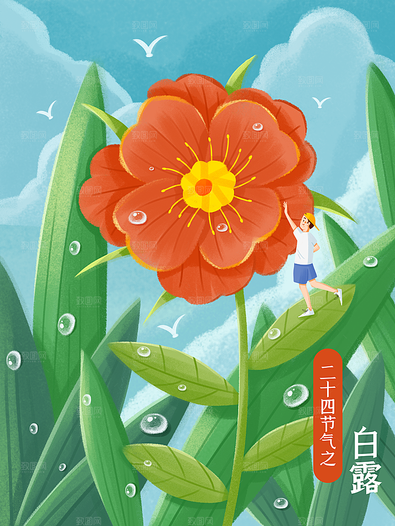 中国传统二十四节气白露节气插画