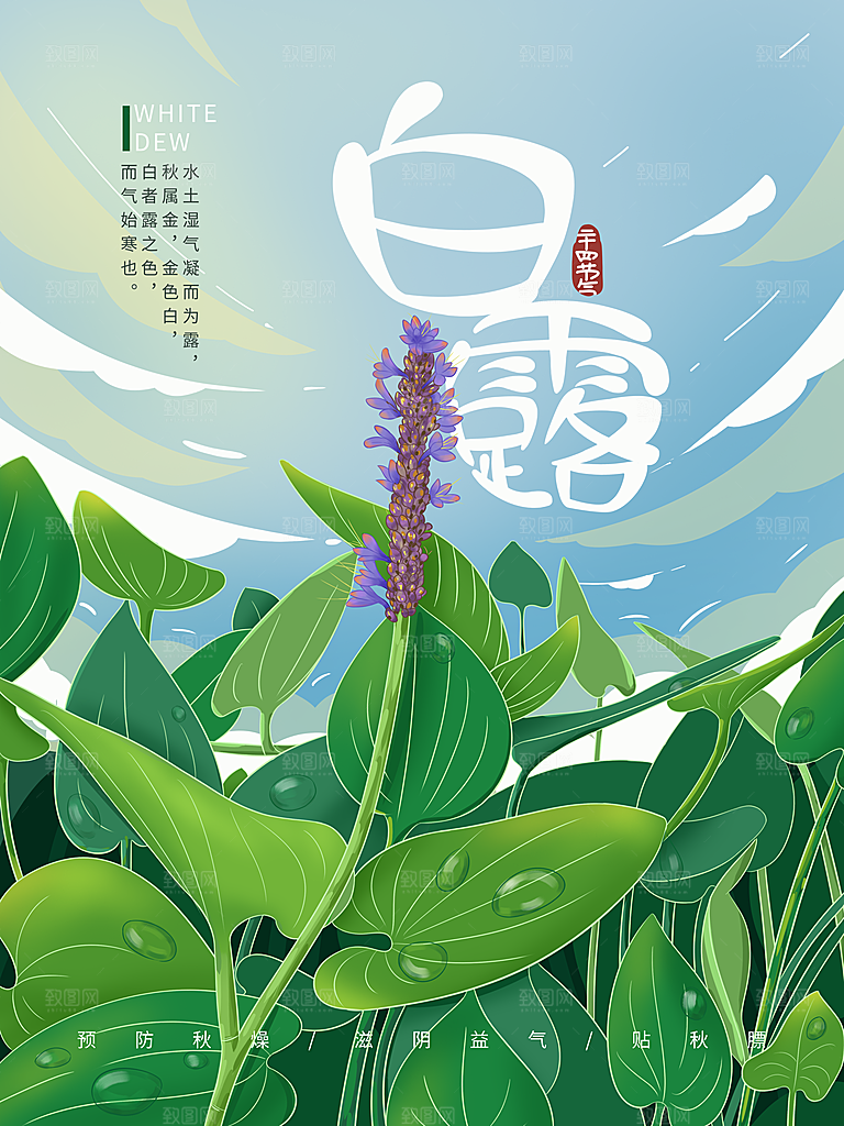 中国传统二十四节气白露节气插画