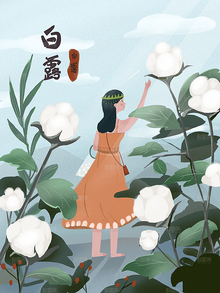 中国传统二十四节气白露节气插画