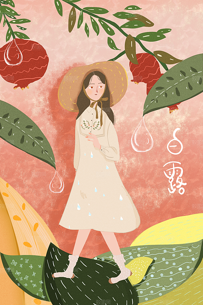 中国传统二十四节气白露节气插画