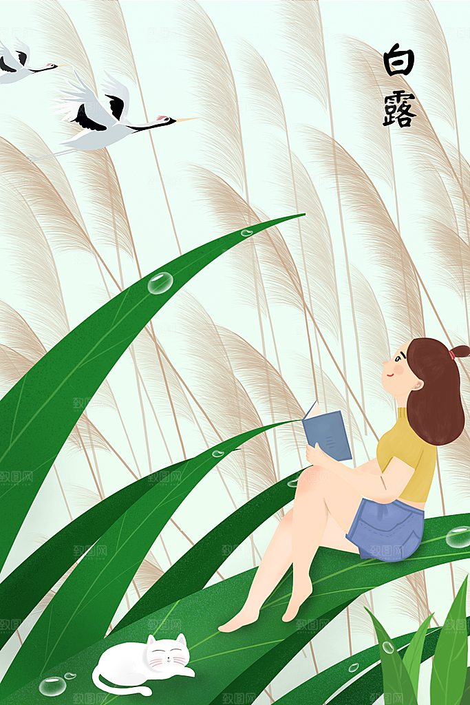中国传统二十四节气白露节气插画