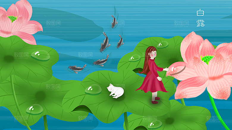 中国传统二十四节气白露节气插画
