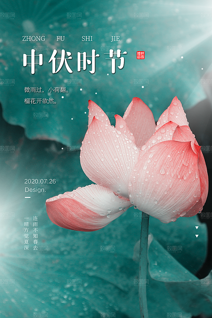 文艺简约荷花三伏天中伏节日海报
