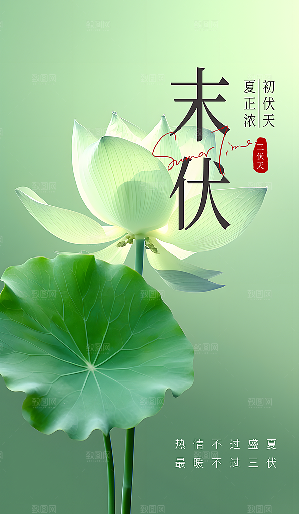 末伏 三伏 三伏天通透荷叶荷花绿色简约手