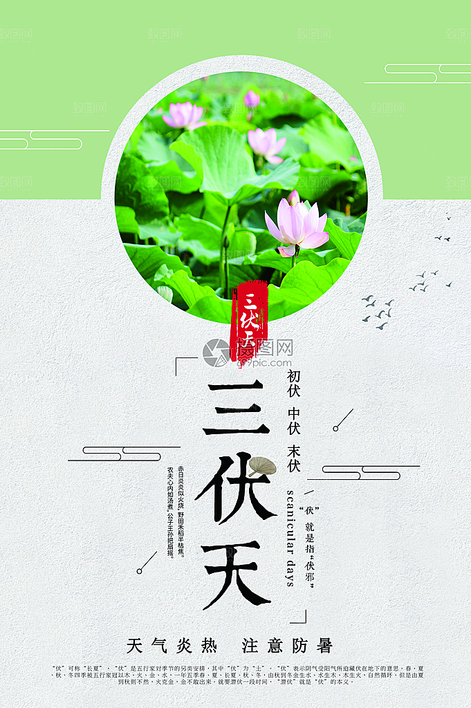 夏日三伏天海报荷炎热花