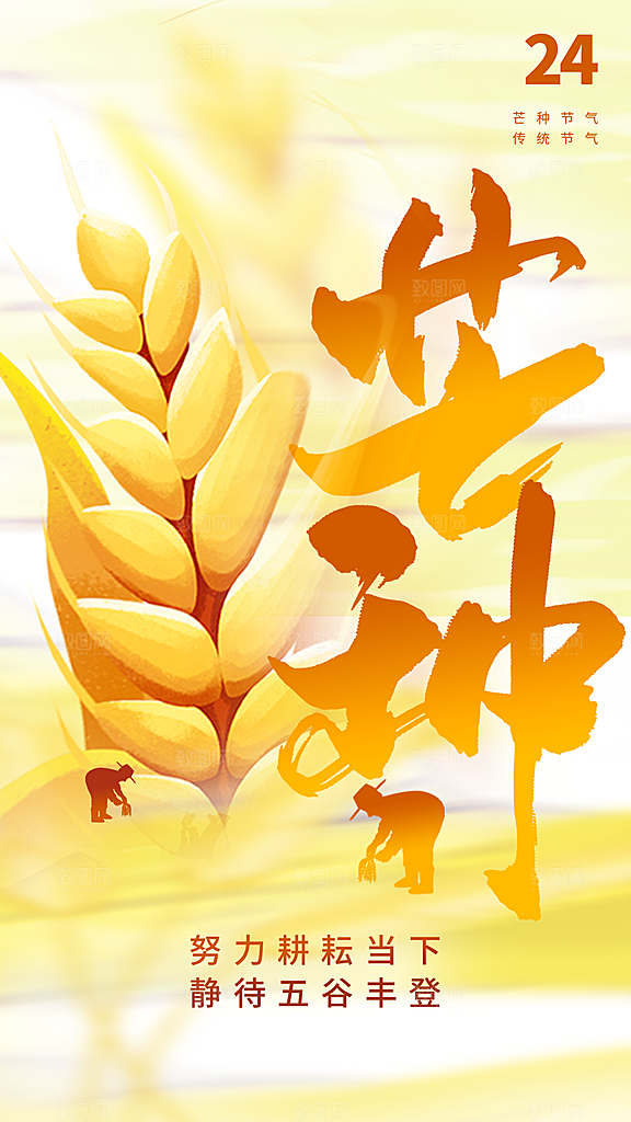 橙色简约芒种节气海报
