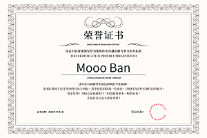 公司企业荣誉证书奖状模板