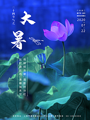 大暑节气简约大气海报