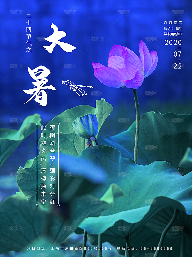 大暑节气简约大气海报
