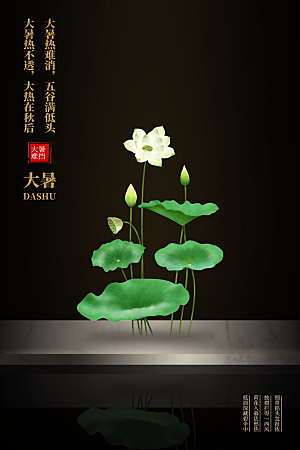 传统节气大暑海报模版