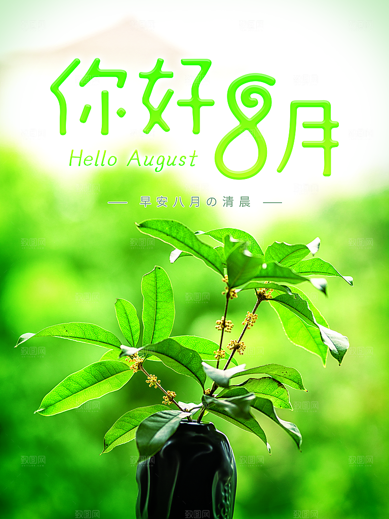 你好8月宣传海报
